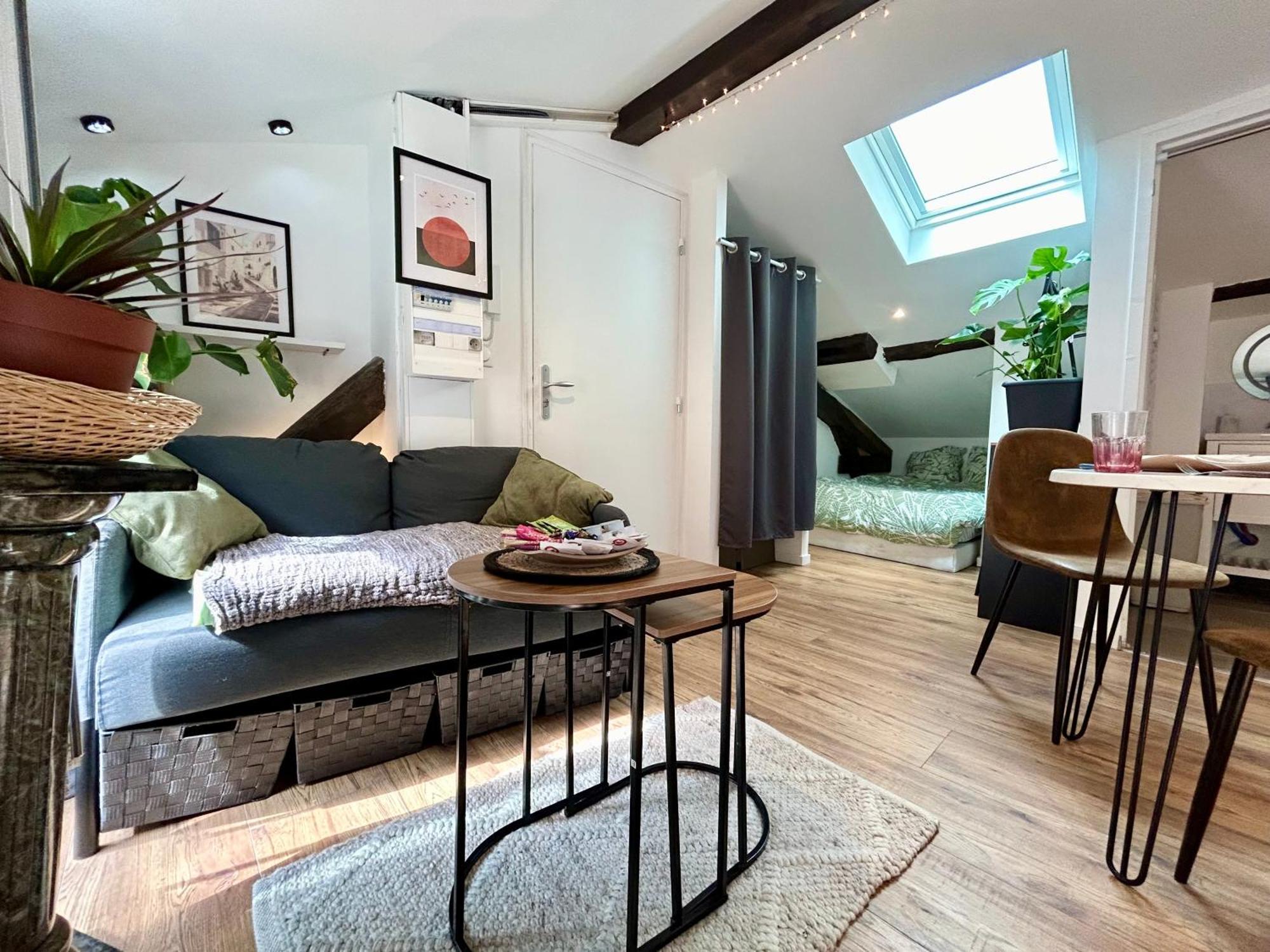 Loft Hortensia Hyper Centre Castres Castres  Exteriör bild