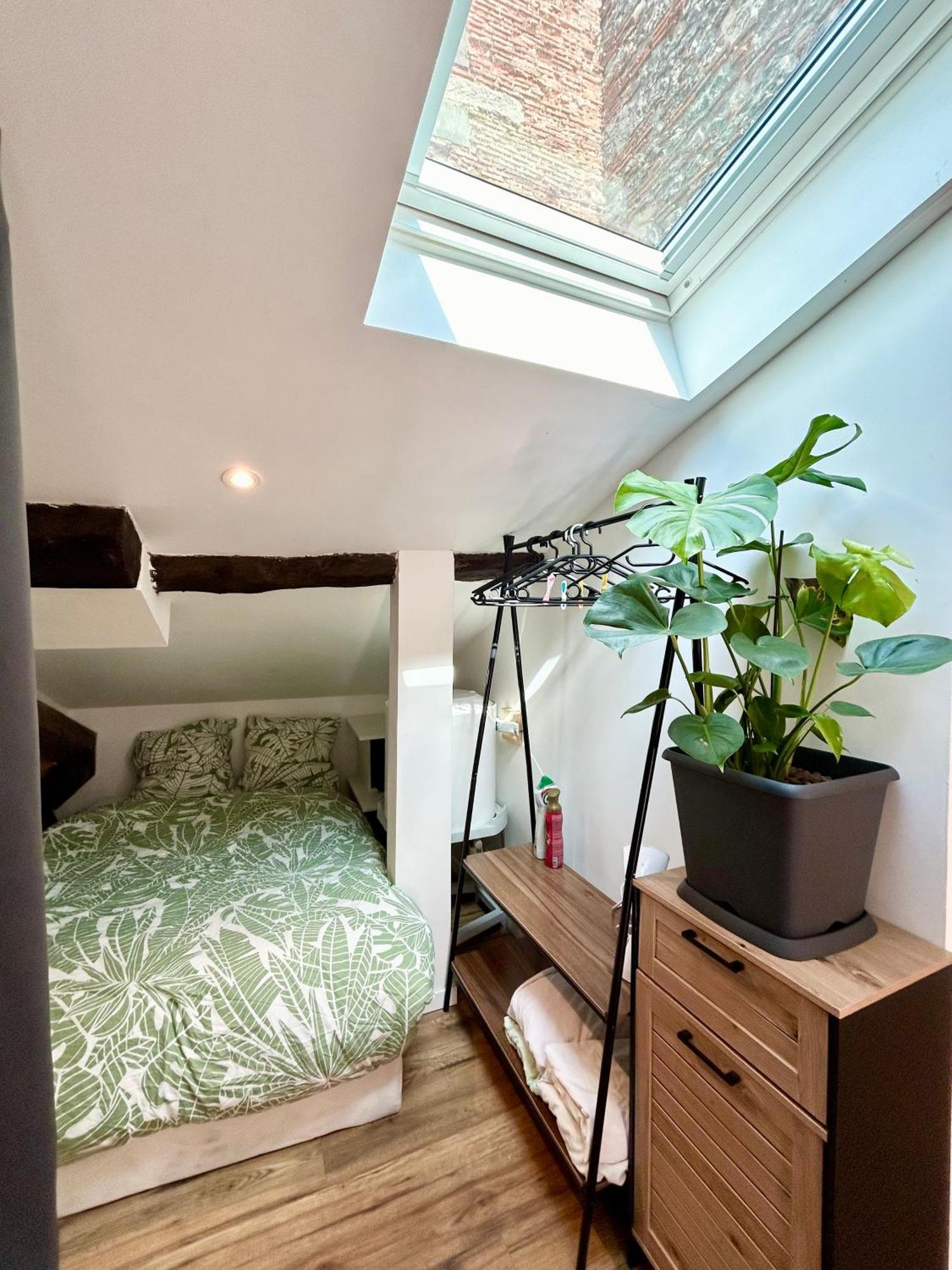 Loft Hortensia Hyper Centre Castres Castres  Exteriör bild
