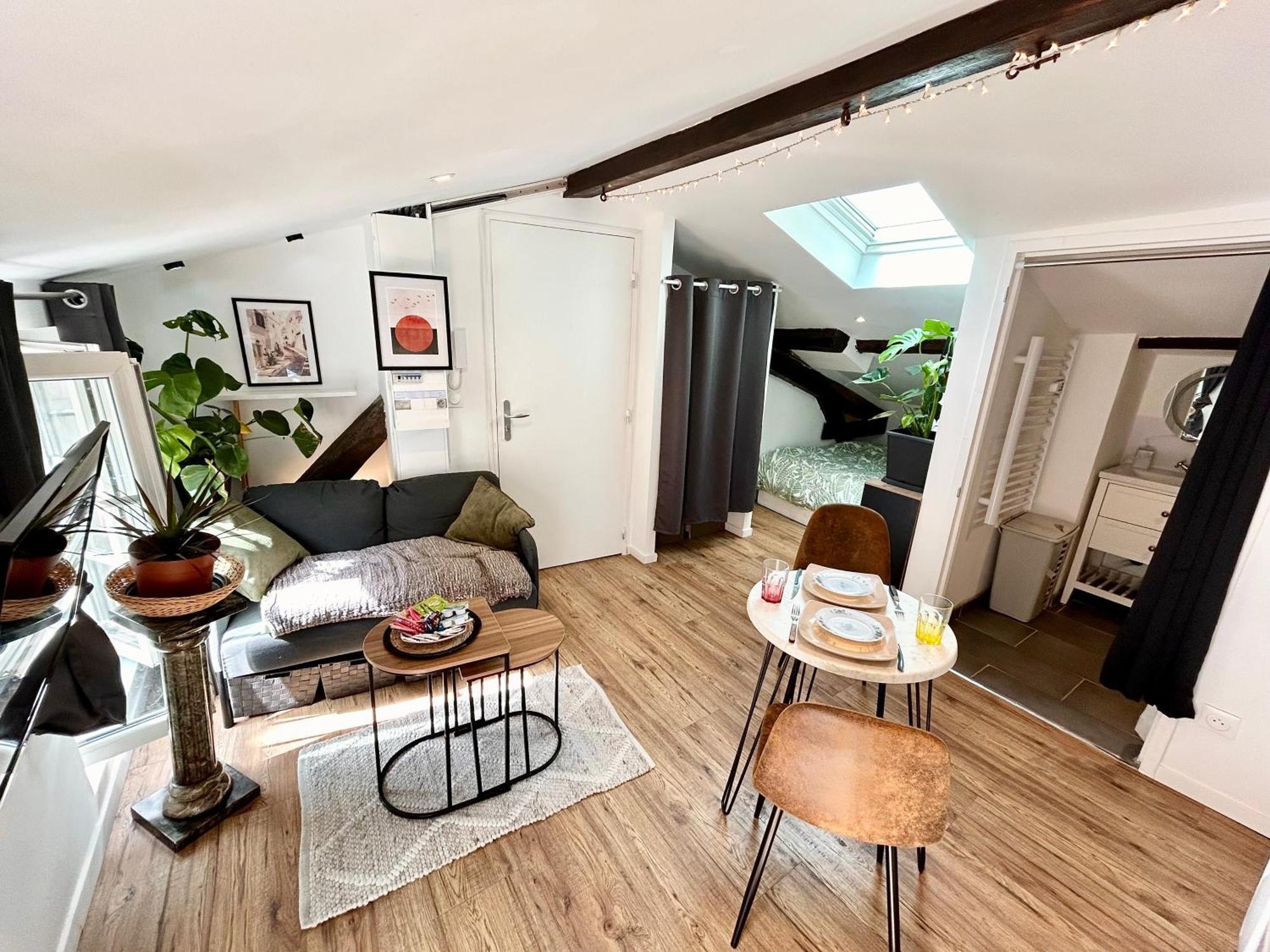 Loft Hortensia Hyper Centre Castres Castres  Exteriör bild